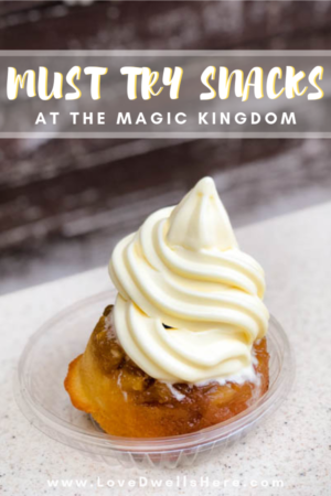 best magic kingdom snacks pin