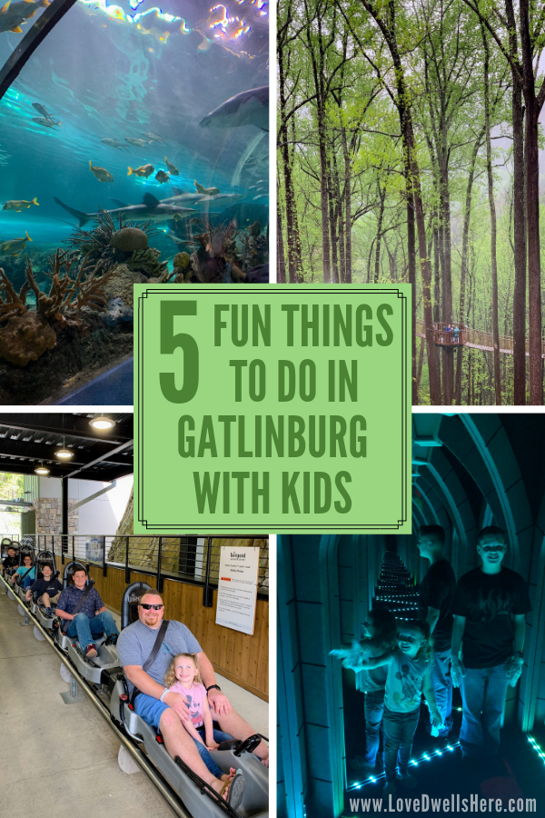 Things to do in Gatlinburg with kids