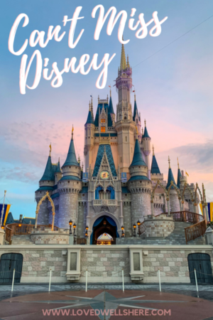 Can't Miss things to do at Disney Parks