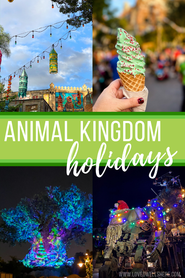 Animal Kingdom Holiday Pin Image