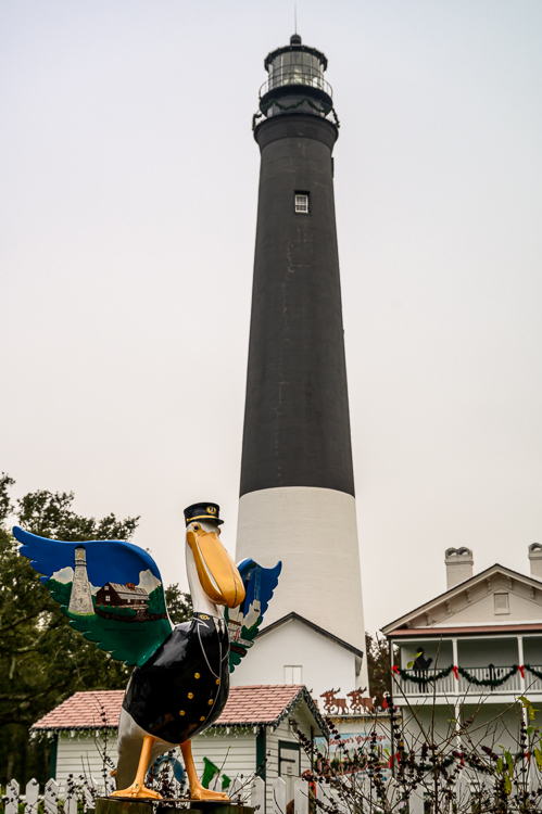 Pensacola Lighthouse and pelican