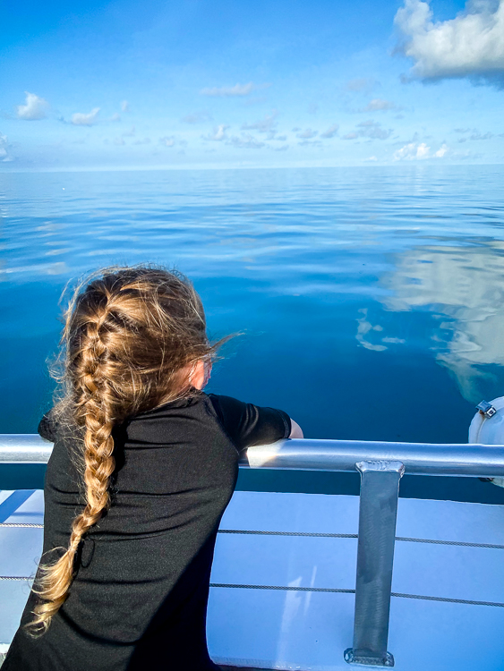 Girl leaning over bow of boat looking at horizon