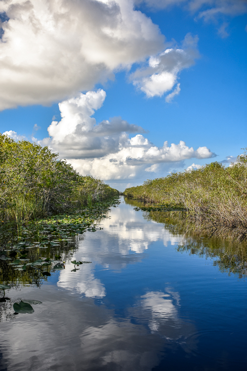 Blue skies and white clouds with reflection in Everglades