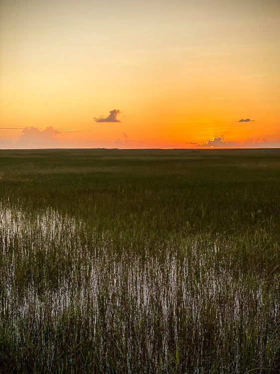 Sunset in the Everglades