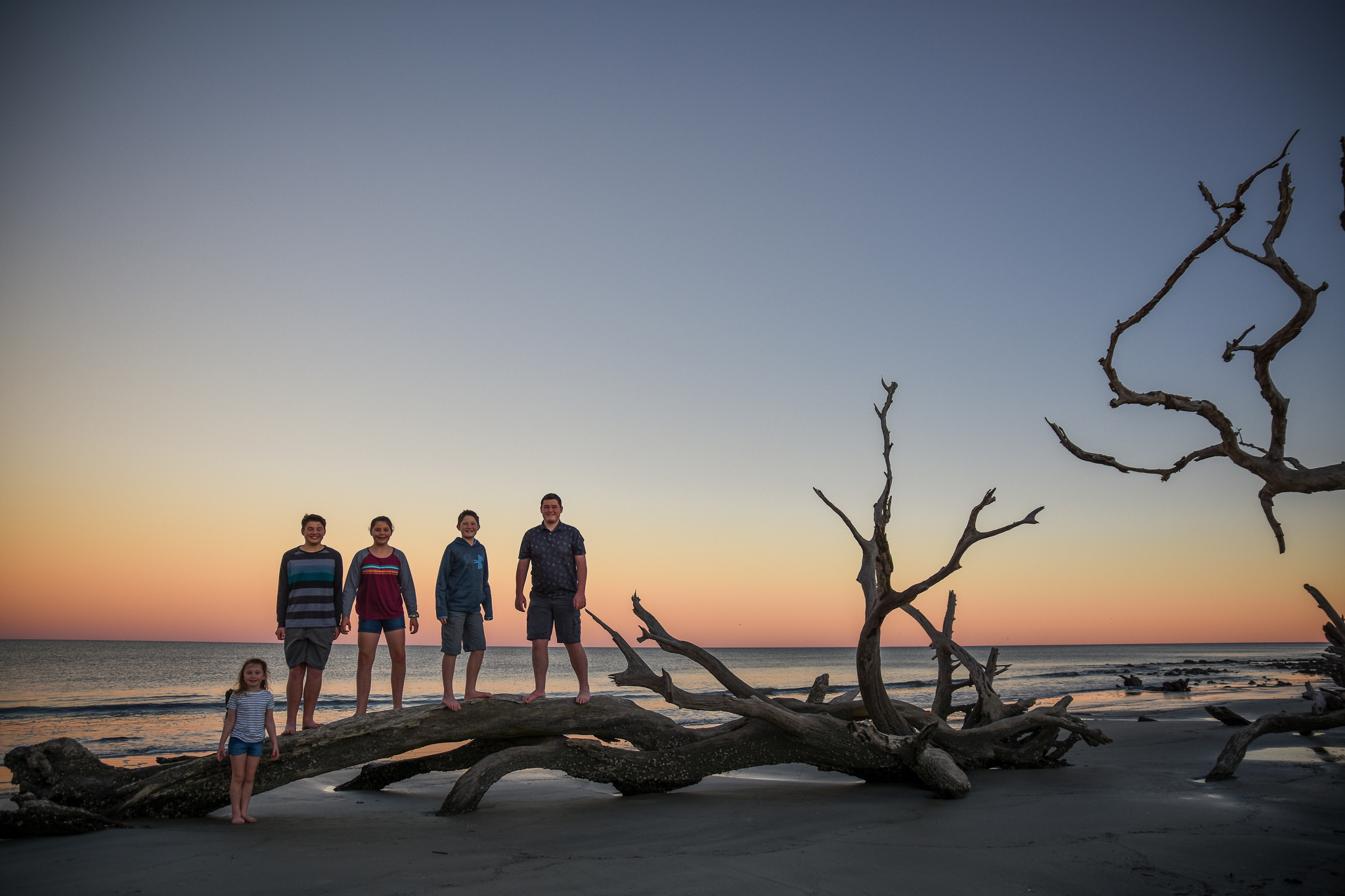 driftwood beach jekyll island georgia with kids