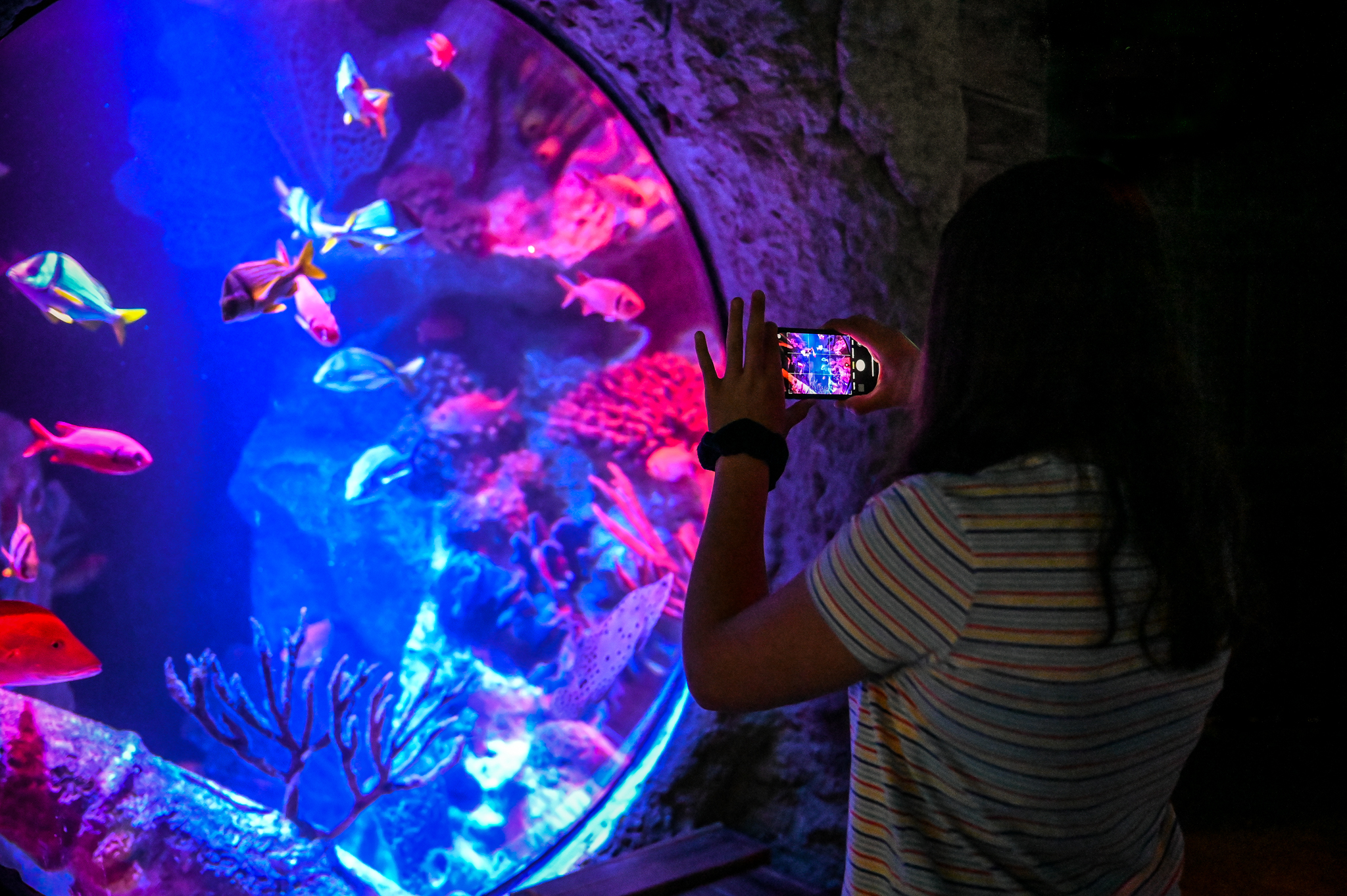SeaLife Aquarium Orlando