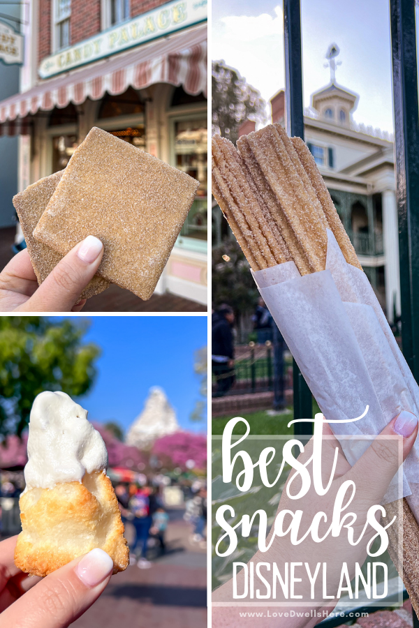 Best Disneyland Snacks from sweet to savory