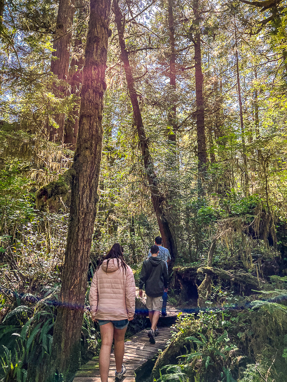 kids hiking in pacific rim national park reserve